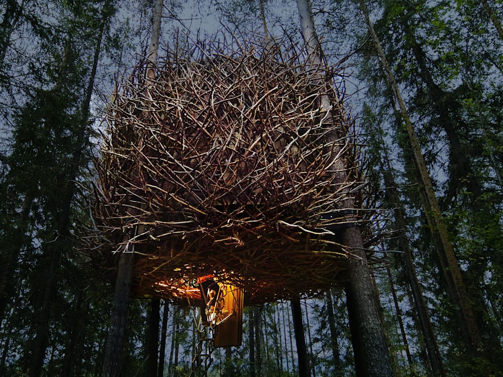 Домик на дереве Birds Nest в Швеции